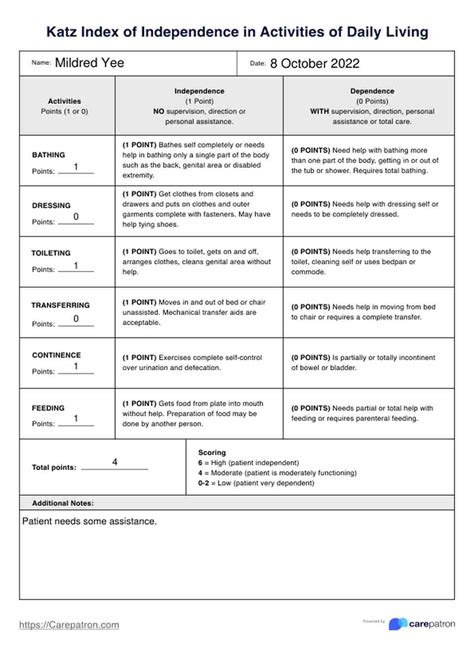 Katz Index of Independence in Activities of Daily Living & Example | Free PDF Download