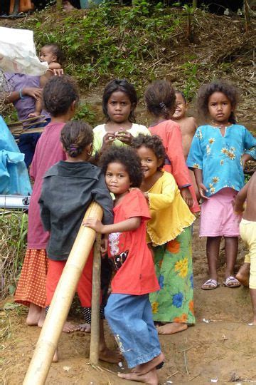 Temuan Tribe: Peninsula Malaysia’s Indigenous Plant Experts