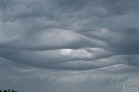 Undulatus Clouds