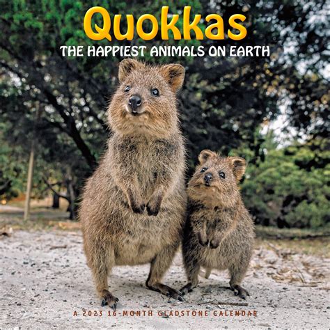 Buy Quokkas: The Happiest Animals on Earth 2023 Online at desertcartINDIA