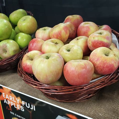 Fuji Apples Facts at Joan Dudley blog