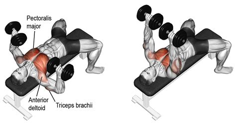 Flying Dumbbell Press