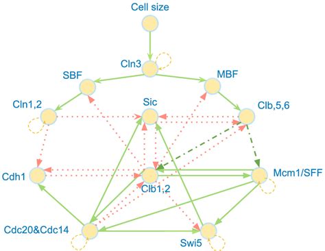 Image result for Boolean Network Python