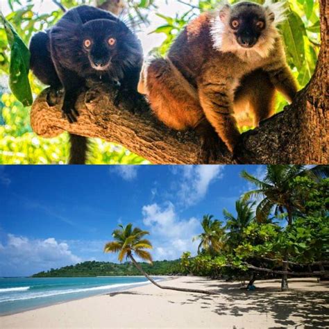 Adventure tour in Andoany. Visit Lokobe National Park in NosyBe. Guided ...