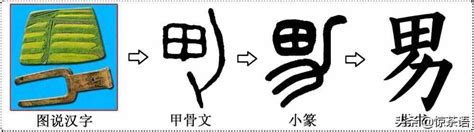 汉字中的象形字、指事字、会意字怎么区分？ - 知乎