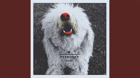 Image result for Python Cowboy YouTube