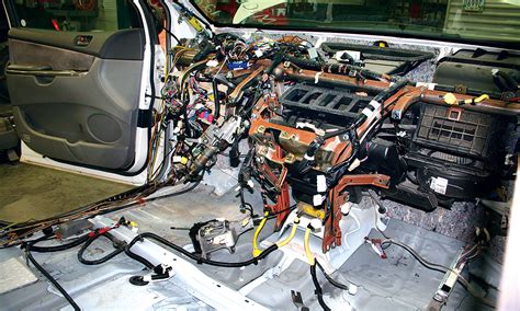 Manitoba insurance no longer covers damage rodents cause to vehicles ...