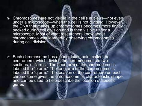 Genetic Inheritance 的图像结果