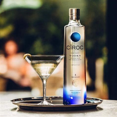 Top 10 Vodka Brands In World With Price at Dennis Penn blog