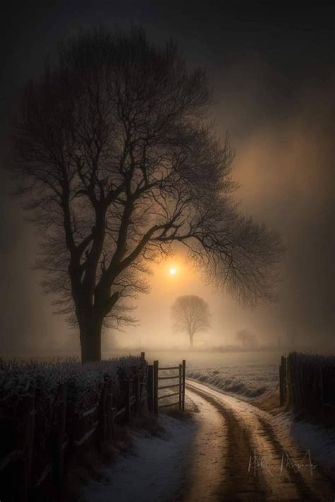 Enchanting Nature and Art — Dreaming