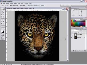 Image result for Simulated Process Screen Printing
