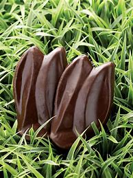 Image result for Bunny Ears for Easter
