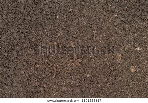 Image result for Compost Texture