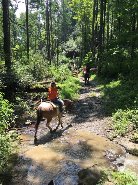 SMOKY MOUNTAIN RIDING STABLES (2026) All You Need to Know BEFORE You Go ...