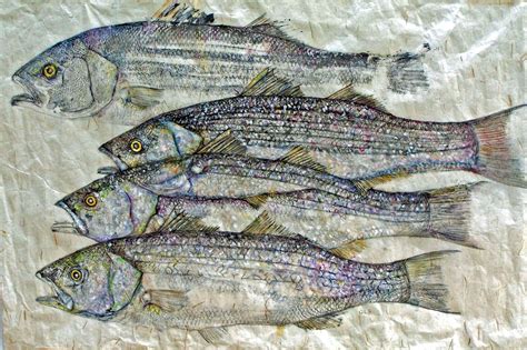 Japanese Fish Print | Gyotaku, Fish art, Japanese embroidery