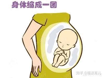 刚怀孕肚子就特别大，是胎儿发育得很好？ - 知乎
