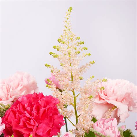 Order Mama Garden Joy Online | Same-Day Delivery UAE - Fnp.ae