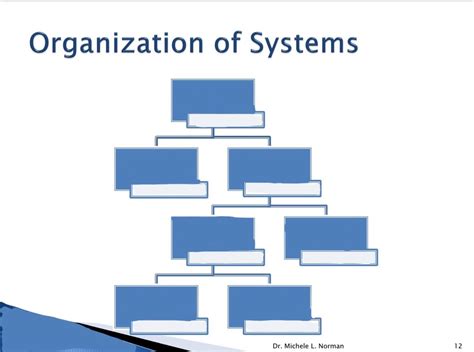 Image result for Systems Order Organization