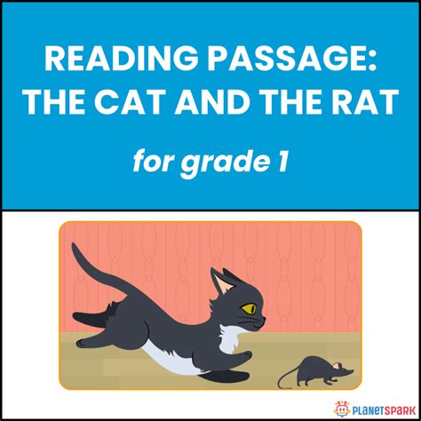 Class 1 Reading Passage on The Cat and the Rat | PlanetSpark