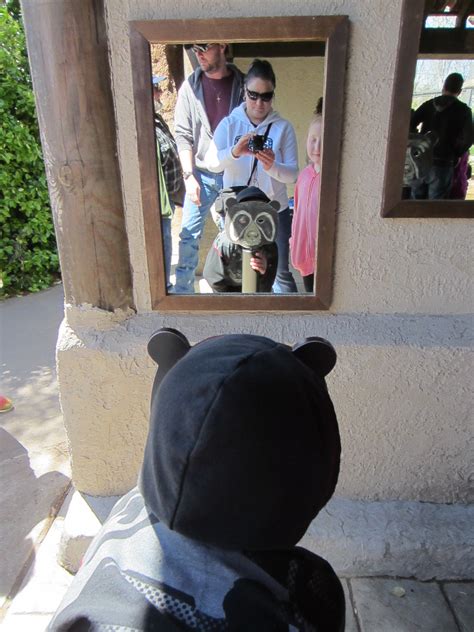 Image result for Spring Break 2016 Competition