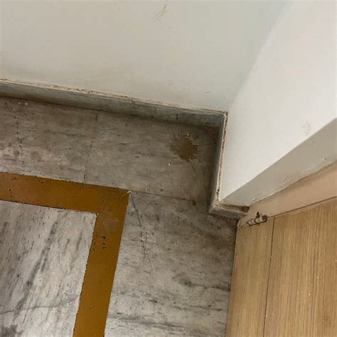 MAPLE TREE HOTELS (Chennai (Madras)) - Hotel Reviews, Photos, Rate ...