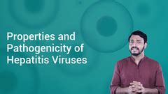 Hepatitis Virus | Definition, Examples, Diagrams