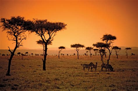 Savanna | Description, African Grasslands, Wildlife, Climate, & Facts ...