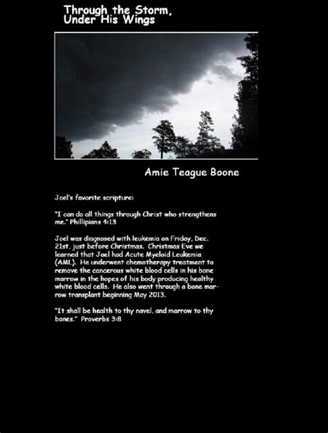 Through the Storm, Under His Wings: Our Journey Through Leukemia eBook ...