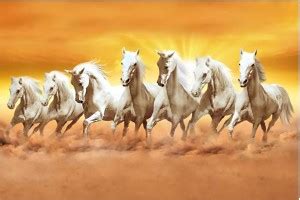 7 Horse Wall Poster | 7 Horse Poster | Lucky Seven Horses Running Vastu ...