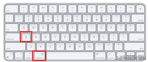 “键盘上我最熟悉的键，除了空格，就是Ctrl C + Ctrl V” - 知乎
