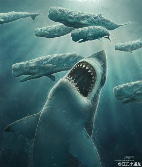 虎鲸的祖先赢了巨齿鲨？巨齿鲨和虎鲸比谁更厉害 - 未解之谜网