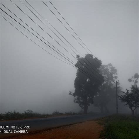 WILDVIEW RESIDENCY (Muthanga) - Hotel Reviews, Photos, Rate Comparison ...