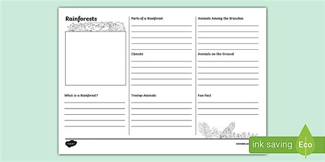 Rainforests Leaflet Writing Template