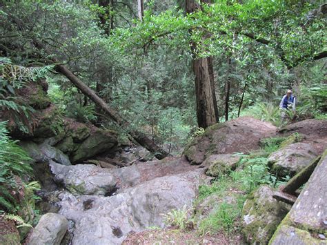 Catherine Creek State Park, an Oregon State Park