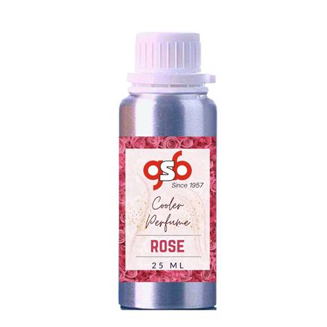 Buy GSB Cooler Perfume | Long Lasting | Alcohol Free | Cooler Spray ...