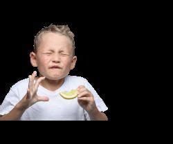 Acids Bases and Salts Chapter 2 NCERT Charu - Hobbies PDF Download