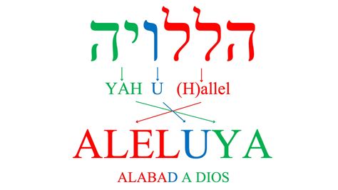 Aleluya y Amén: Dos palabras que debes conocer a profundidad