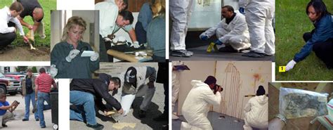 Image result for Evidence Collection Free Pictures