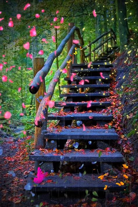 Nature Background 的图像结果