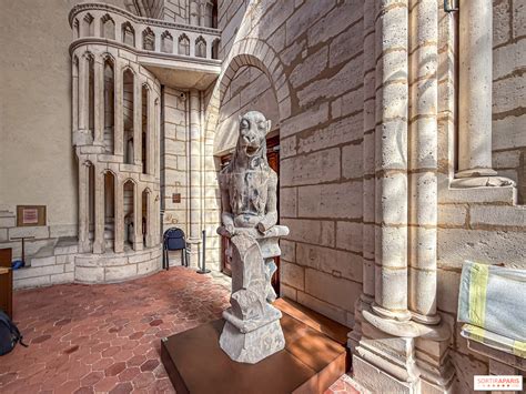 Visita às torres de Notre-Dame de Paris: reabertura com um novo ...