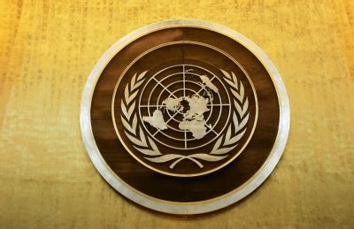 Opium cultivation falls in Myanmar: UN