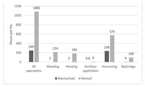 Food Loss-Reducing Intervention Strategies for Potato Smallholders in ...