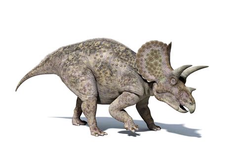 Most Popular Dinosaurs In The World at Daniel Gilmore blog