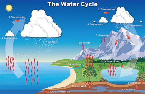 Water Cycle | U.S. Climate Resilience Toolkit