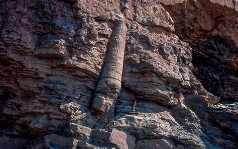 “Coal Age” Joggins Fossil Cliffs - IUGS