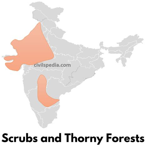 Types of Vegetations in India - civilspedia.com