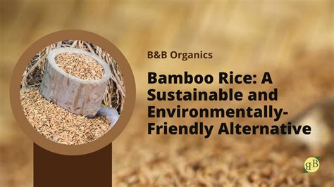 Bamboo Rice: A Sustainable and Environmentally-Friendly Alternative – B ...
