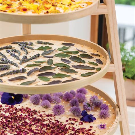 Bamboo Herb Drying Rack | The Green Head