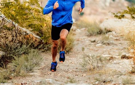 Image result for Fartlek Training System