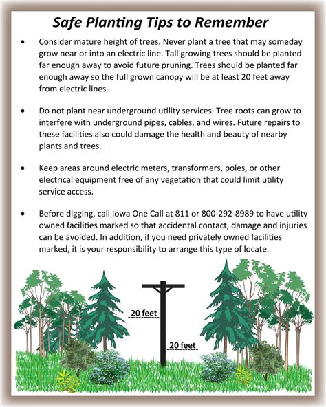Tree Trimming | Maquoketa Valley Electric Cooperative